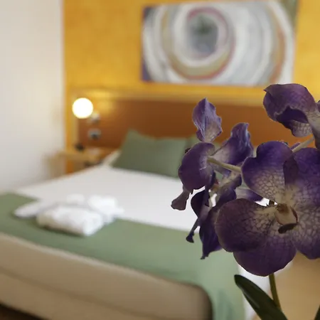 Ibis Styles Vintage